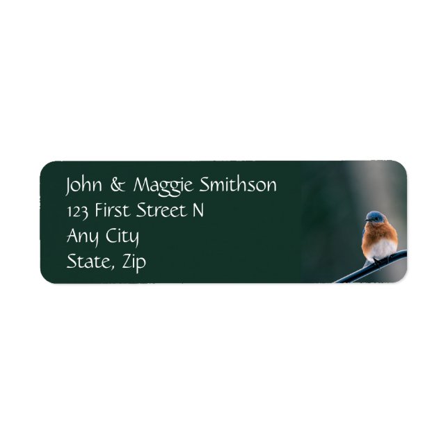 Bluebird Garden Bird Wildlife Nature Custom (Vorne)