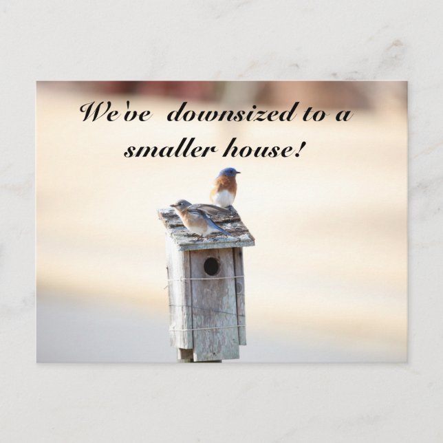 Bluebird House - Funny Change Address Postcard Postkarte (Vorderseite)