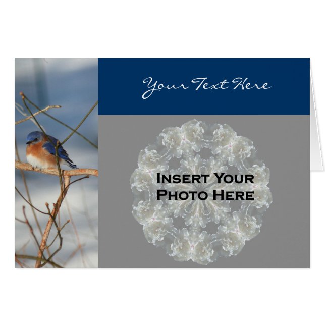 Bluebird im Winter Nature Foto Card (Vorderseite (Horizontal))