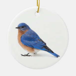 Bluebird Keramik Ornament