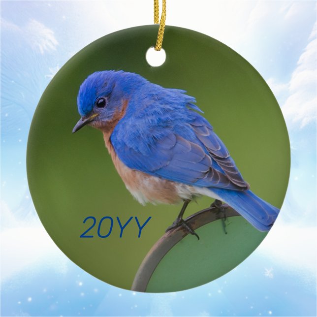 Bluebird Keramik Ornament (Von Creator hochgeladen)