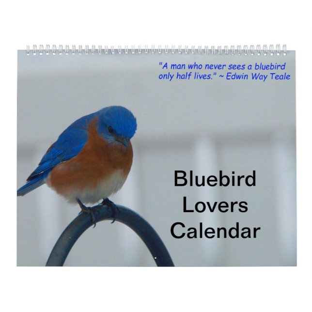 Bluebird Lovers Kalender (Titelbild)