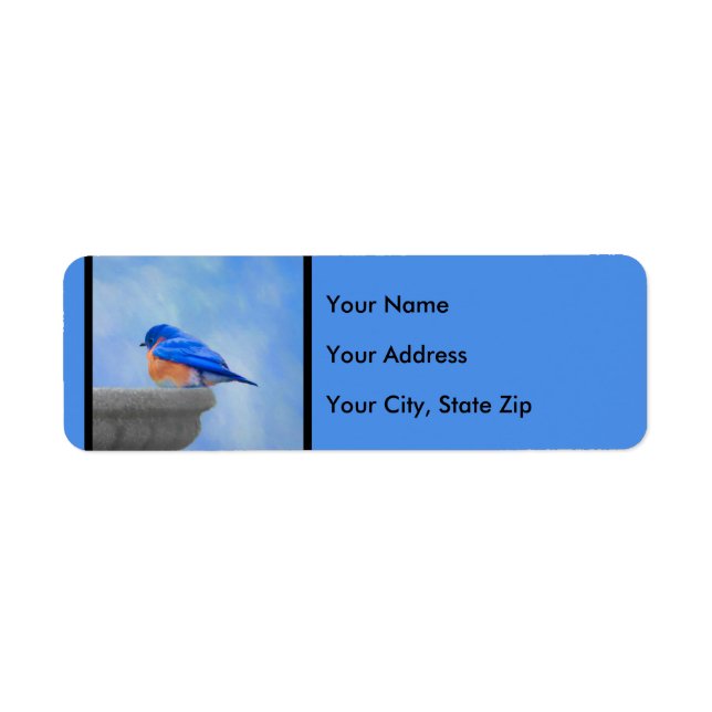 Bluebird-Malerei - Original Bird Art (Vorne)