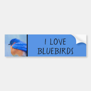 Bluebird-Malerei - Original Bird Art Autoaufkleber