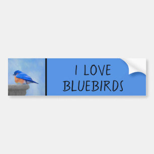 Bluebird-Malerei - Original Bird Art Autoaufkleber