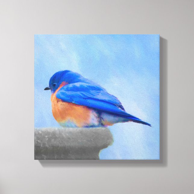 Bluebird-Malerei - Original Bird Art Leinwanddruck (Vorderseite)