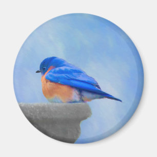 Bluebird-Malerei - Original Bird Art Magnet