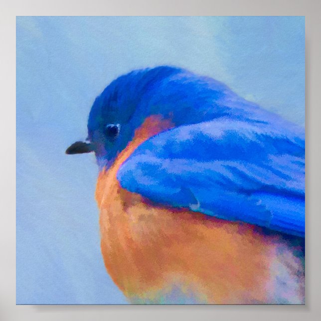 Bluebird-Malerei - Original Bird Art Poster (Vorne)