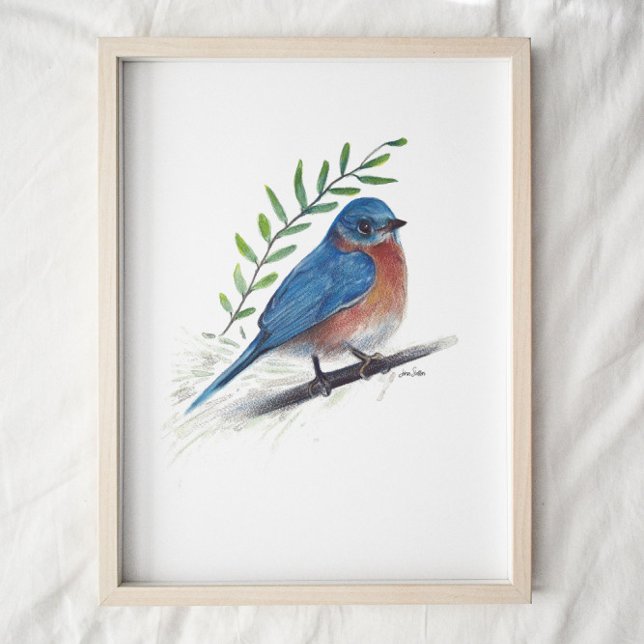 Bluebird-Malkunst Print Poster (Von Creator hochgeladen)