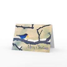 Bluebird mit Sternenkarte