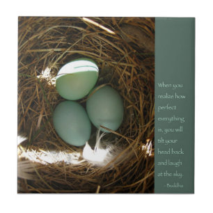 Bluebird Nest mit Buddha Quote Fliese