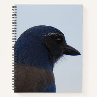 Bluebird Notizbuch