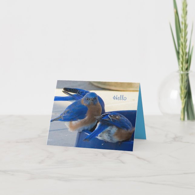 Bluebird of Happiness Card Karte (Vorderseite)