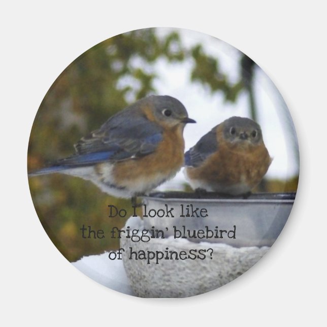 Bluebird of Happiness Comical Magnet (Vorne)