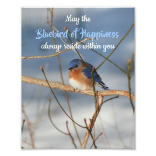 Bluebird of Happiness Inspiration 8x10 Fotodruck