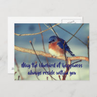 Bluebird of Happiness Nature Postcard