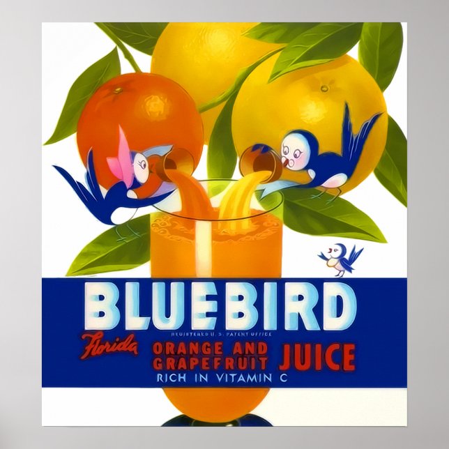 Bluebird Orange Juice Vintage Poster (Vorne)