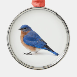 Bluebird Ornament Aus Metall