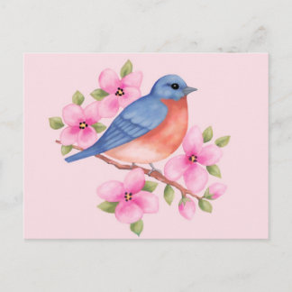 Bluebird Postcard Postkarte