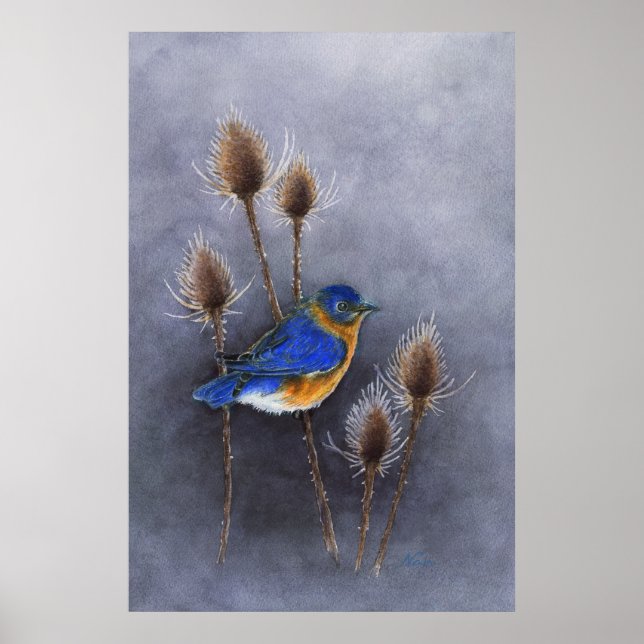 Bluebird Poster Print (Vorne)