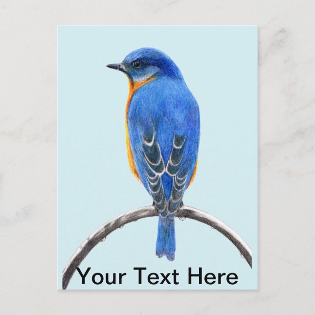 Bluebird Postkarte (Vorderseite)