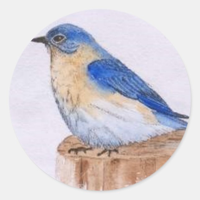 Bluebird Runder Aufkleber (Vorderseite)