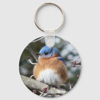 Bluebird Schlüsselanhänger