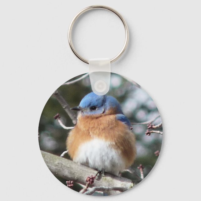 Bluebird Schlüsselanhänger (Vorderseite)