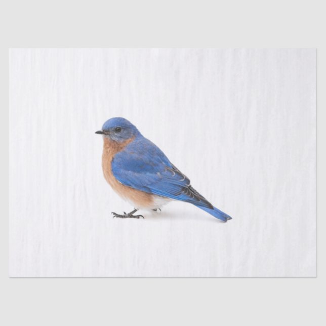 Bluebird Seidenpapier (Vorderseite)