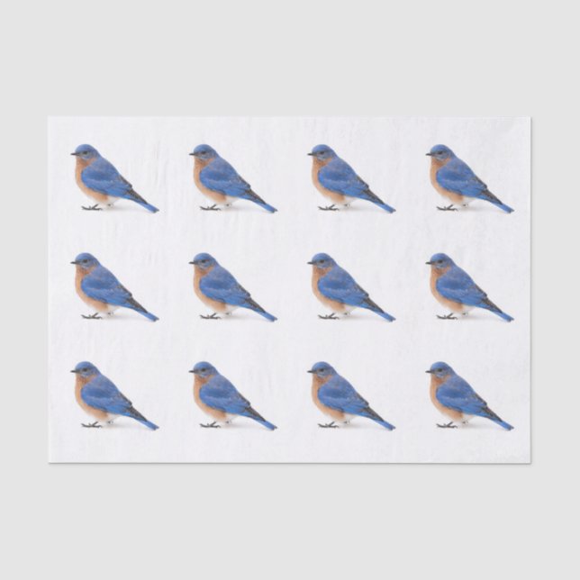 Bluebird Seidenpapier (Vorderseite)