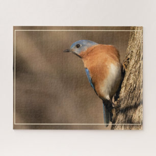 Bluebird, Seitenblicke Puzzle