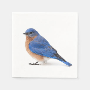 Bluebird Serviette