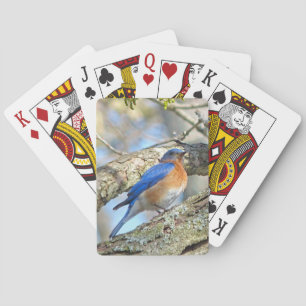 Bluebird Spielkarten