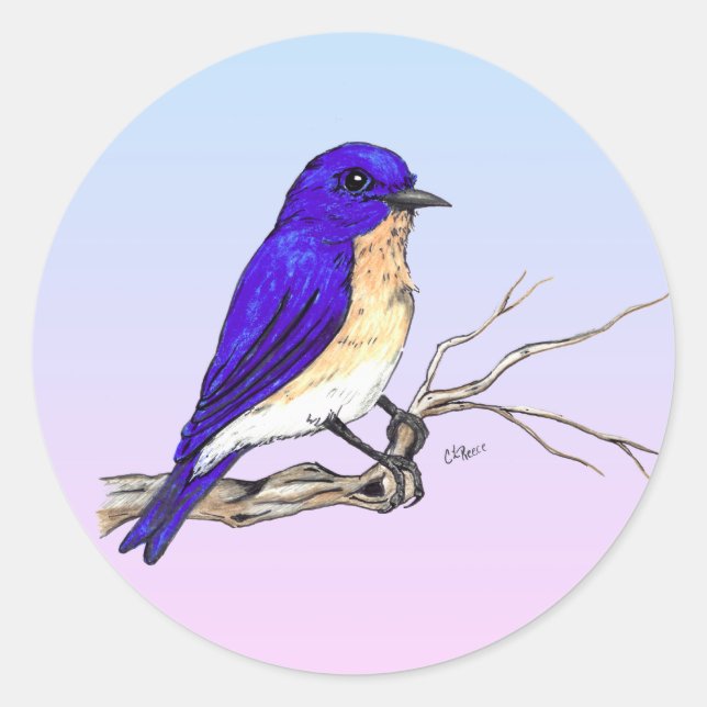 Bluebird-Sticker Runder Aufkleber (Vorderseite)