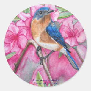 Bluebird unter den Azaleen STICKERS