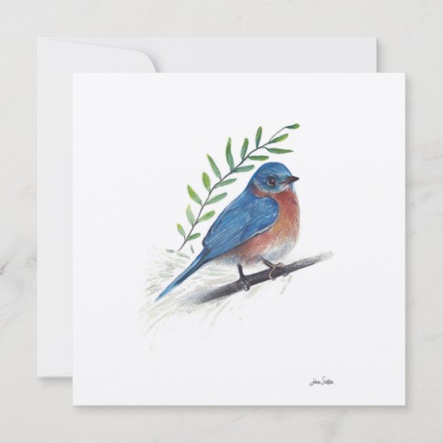 Bluebird Watercolor Art (Vorderseite)