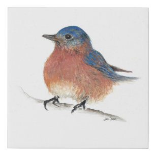 Bluebird Watercolor Farbige Stifte Kunst Künstlicher Leinwanddruck