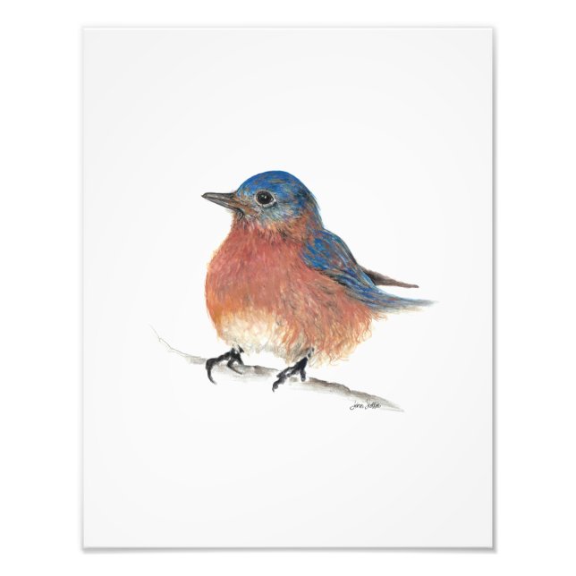 Bluebird Watercolor Kunstkunst Fotodruck (Vorne)