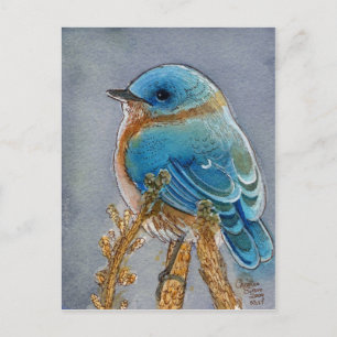 Bluebird Watercolor Postkarte
