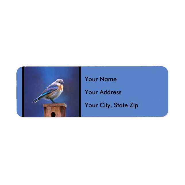 Bluebird (weibliche Malerei) - Original Bird Art (Vorne)