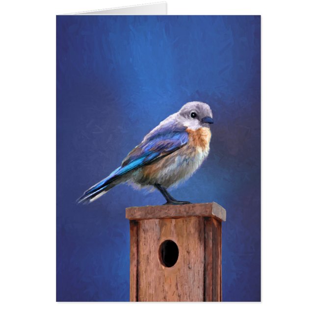 Bluebird (weibliche Malerei) - Original Bird Art (Vorne)