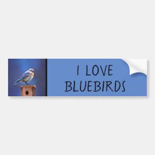 Bluebird (weibliche Malerei) - Original Bird Art Autoaufkleber