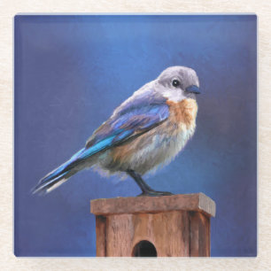 Bluebird (weibliche Malerei) - Original Bird Art Glasuntersetzer