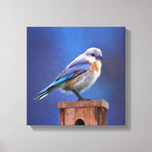 Bluebird (weibliche Malerei) - Original Bird Art Leinwanddruck