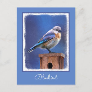 Bluebird (weibliche Malerei) - Original Bird Art Postkarte