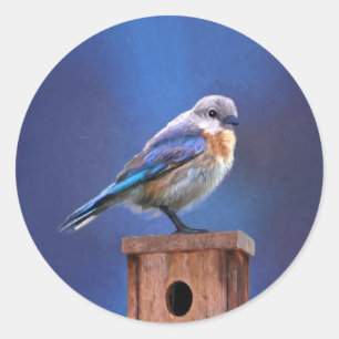 Bluebird (weibliche Malerei) - Original Bird Art Runder Aufkleber