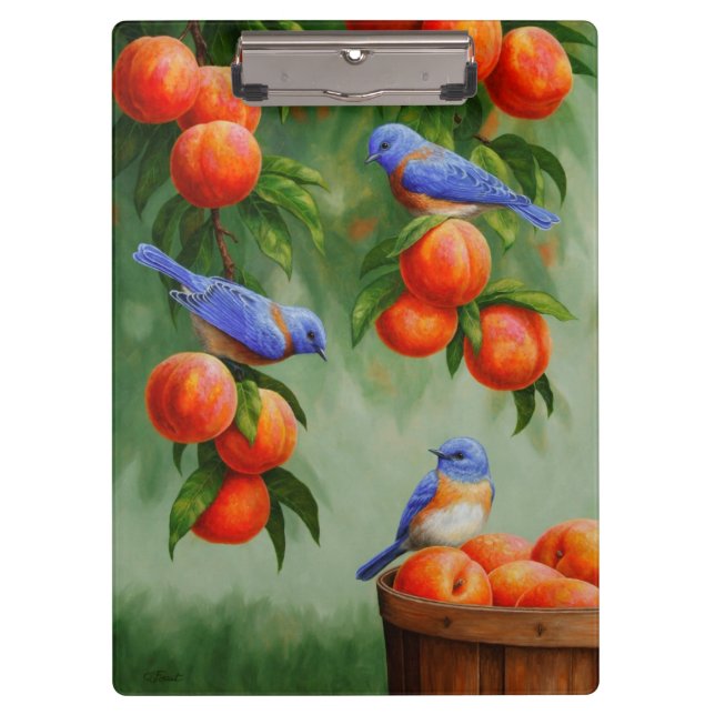 Bluebirds in einem Pfirsichbaum Klemmbrett (Vorderseite)