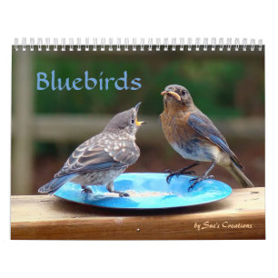 Bluebirds-Kalender Kalender