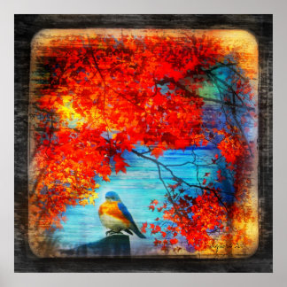 Bluebirds-Lied, Poster