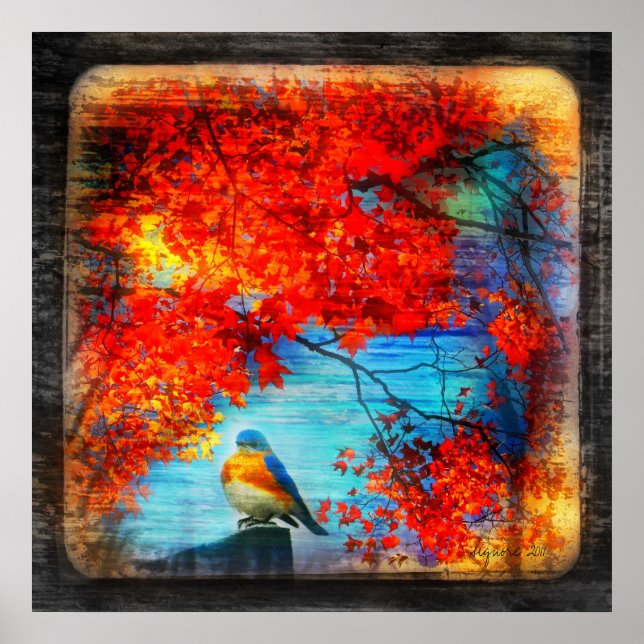 Bluebirds-Lied, Poster (Vorne)